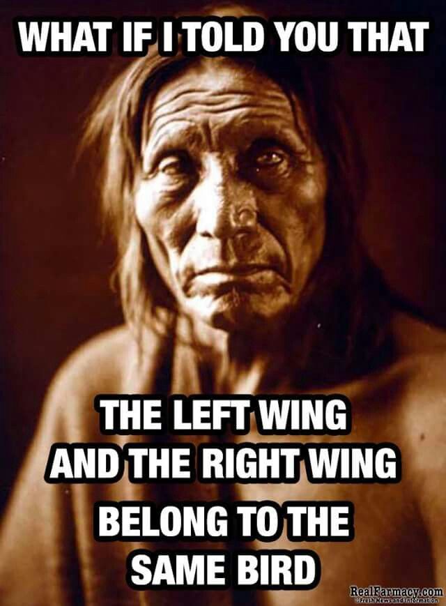WHAT IF I TOLD YOU THAT THE LEFT WING AND THE RIGHT WING BELONG TO THE SAME BIRD Real.Farmacy.com vetch sows and normation