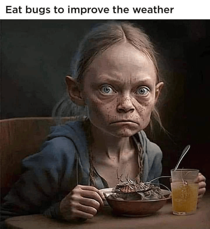 Eat bugs to improve the weather