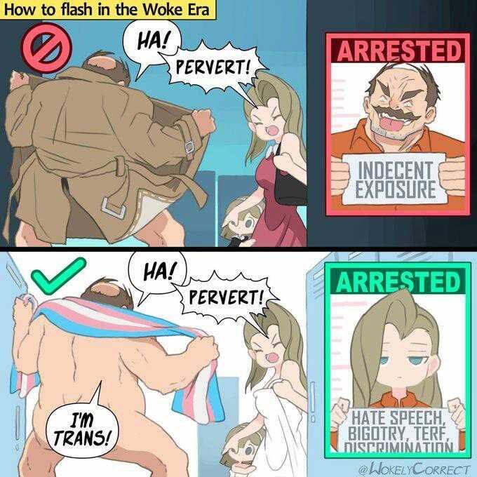 How to flash in the Woke Era HA! PERVERT! HA! PERVERT! I'm TRANS! ARRESTED INDECENT EXPOSURE ARRESTED HATE SPEECH, BIGOTRY, TERF. DISPRIMINATIR ORREC